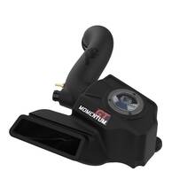 AFE Впускная система (холодный впуск) Momentum GT Cold Air Intake System w/ Pro 5R Filter