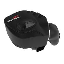 AFE Впускная система (холодный впуск) Momentum GT Cold Air Intake System w/ Pro DRY S Filter