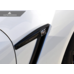 AutoTecknic Карбоновые вставки в крылья под эмблему для Nissan GTR R35 (2015+) (сухой карбон)