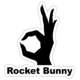 Rocket Bunny/ Pandem
