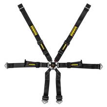 SCHROTH Ремень безопасности 6-ти точечный Profi Porsche 981 2x2 черный